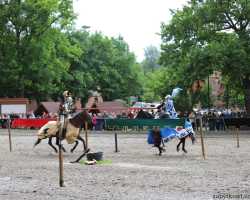 IMG_7688